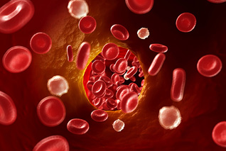 blood